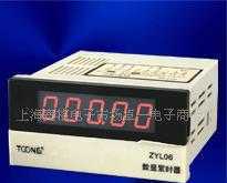 上海卓一正品 累時器/計時器 ZYL06(DHC6J-L)_儀器儀表_世界工廠網中國產品信息庫